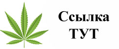 Купить наркотики в Волгограде